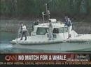 Sperm Whale attacks fishermen